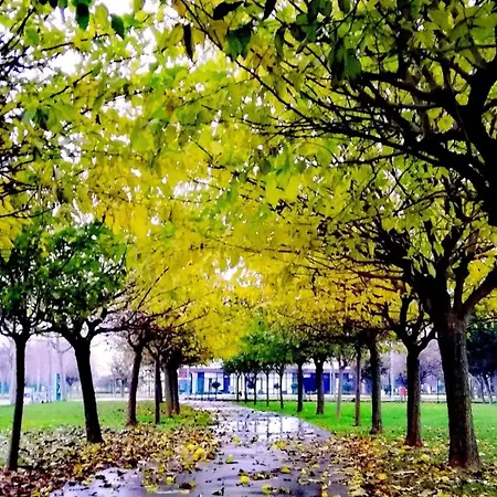 Ξενοδοχείο Magia - & Wellness Κωνσταντινούπολη