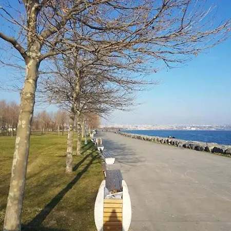 Magia Istanbul